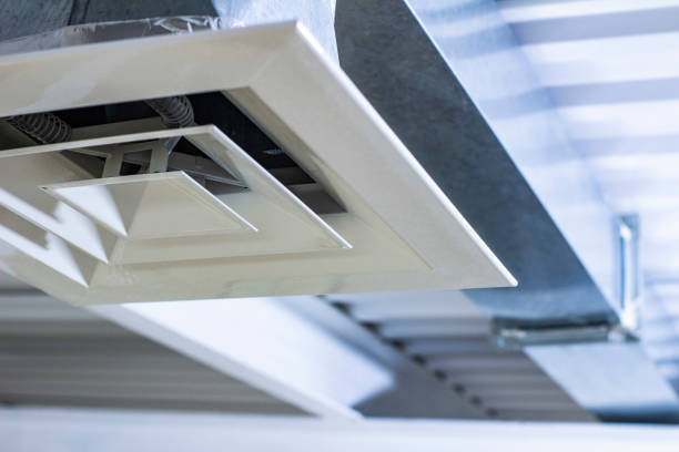 Best Dryer Vent Cleaning Services  in Marion, IL