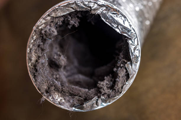 Best Best Air Duct Cleaning Near Me  in Marion, IL